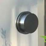 Griffmuschel Rückansicht