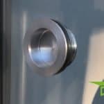 Griffmuschel Frontansicht